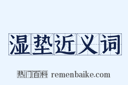 湿垫近义词是什么意思的图片